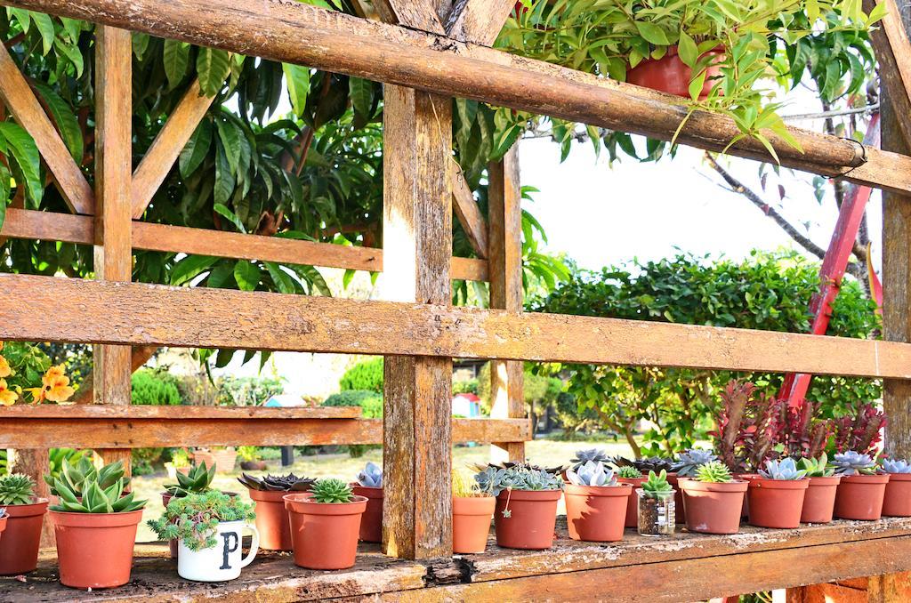 Taichung Xinshe Garden Life Homestay B&B Dış mekan fotoğraf