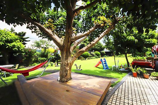 Taichung Xinshe Garden Life Homestay B&B Dış mekan fotoğraf