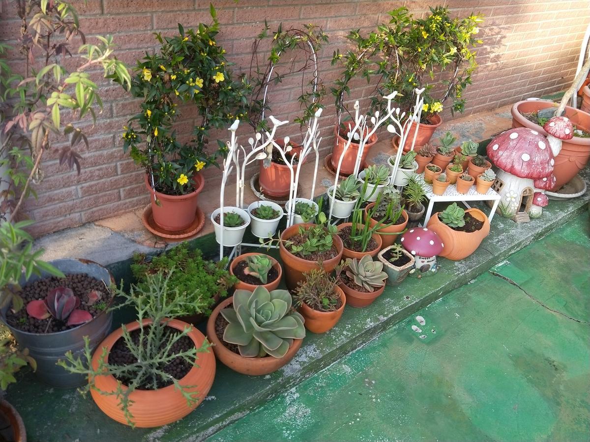 Taichung Xinshe Garden Life Homestay B&B Dış mekan fotoğraf