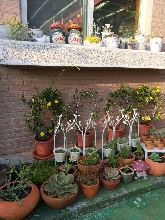 Taichung Xinshe Garden Life Homestay B&B Dış mekan fotoğraf
