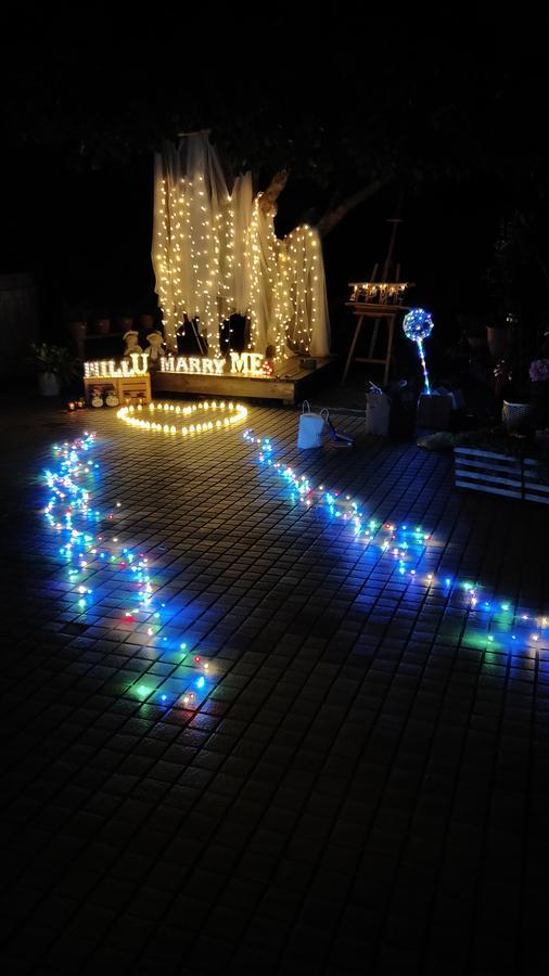 Taichung Xinshe Garden Life Homestay B&B Dış mekan fotoğraf